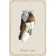 Knight Night Lakeside Elves Bell Sleeve One Piece(Limited Pre-Order)